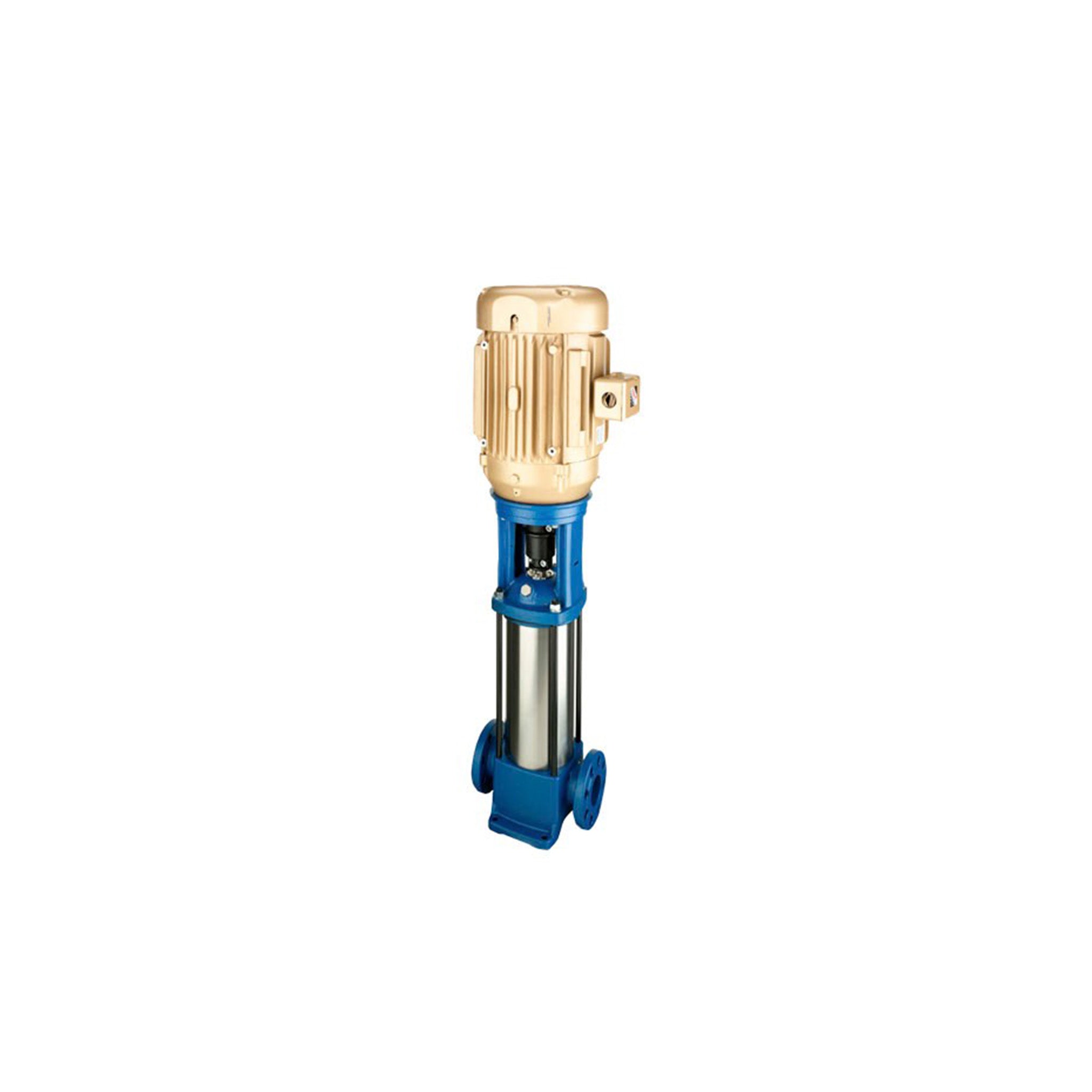Vertical Multistage Pump