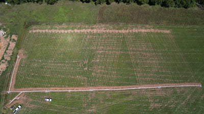 Subsurface Drip Disposal