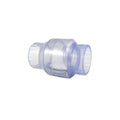 3" Clear Swing Check Valve